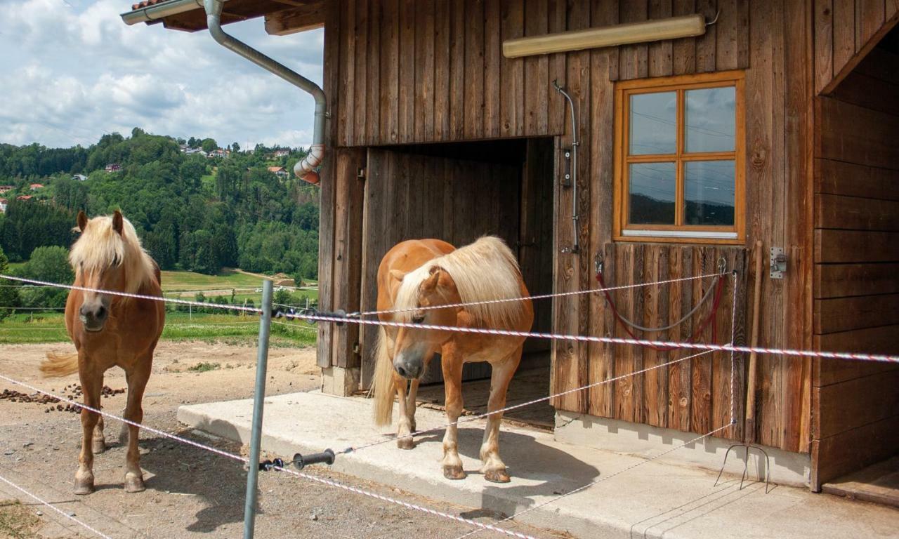 Ferienwohnung Dichtl Grafenau  Exteriér fotografie